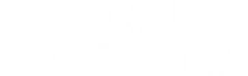 Accurix Logistics